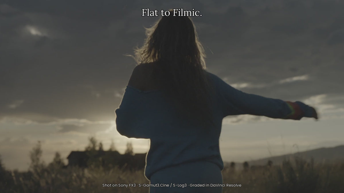 Film Emulation Powergrade